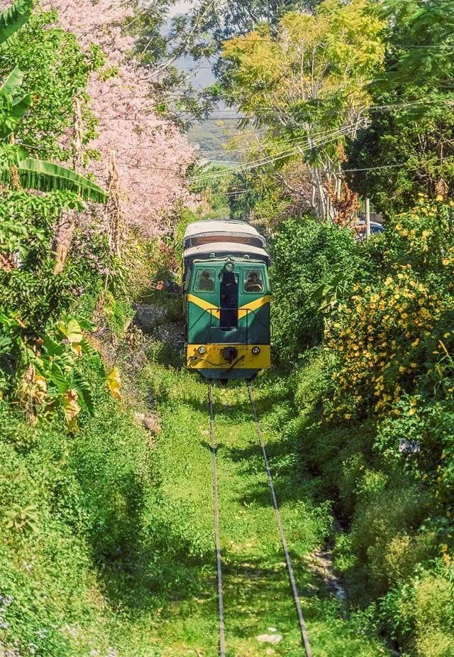 TRAN QUY CAP TRAIN STREET IN DA LAT