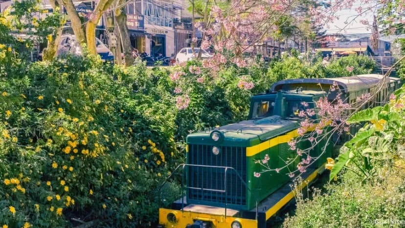 TRAN QUY CAP TRAIN STREET IN DA LAT