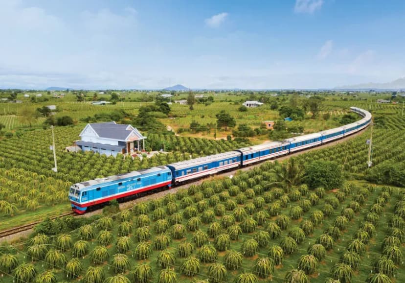 TRAIN THROUGH DRAGON FRUIT GARDEN IN BINH THUAN
