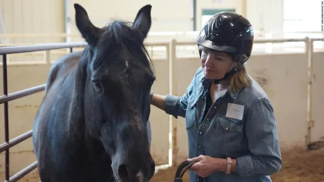 Vietnam Horse Racing: The Journey of Recovery and Reaching the World