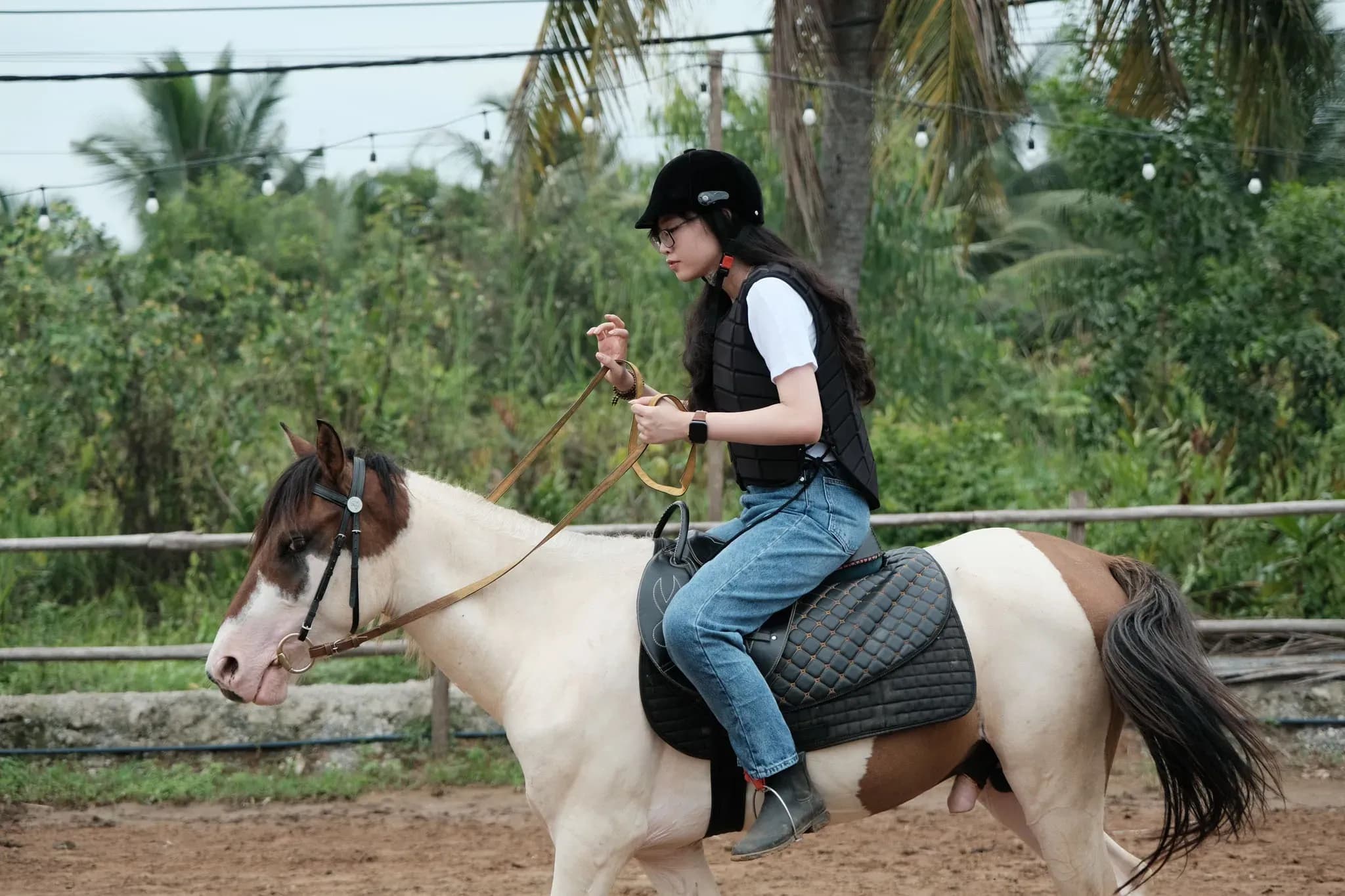 Notes when riding horses to ensure safety