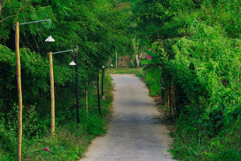 Orchard Home Resort