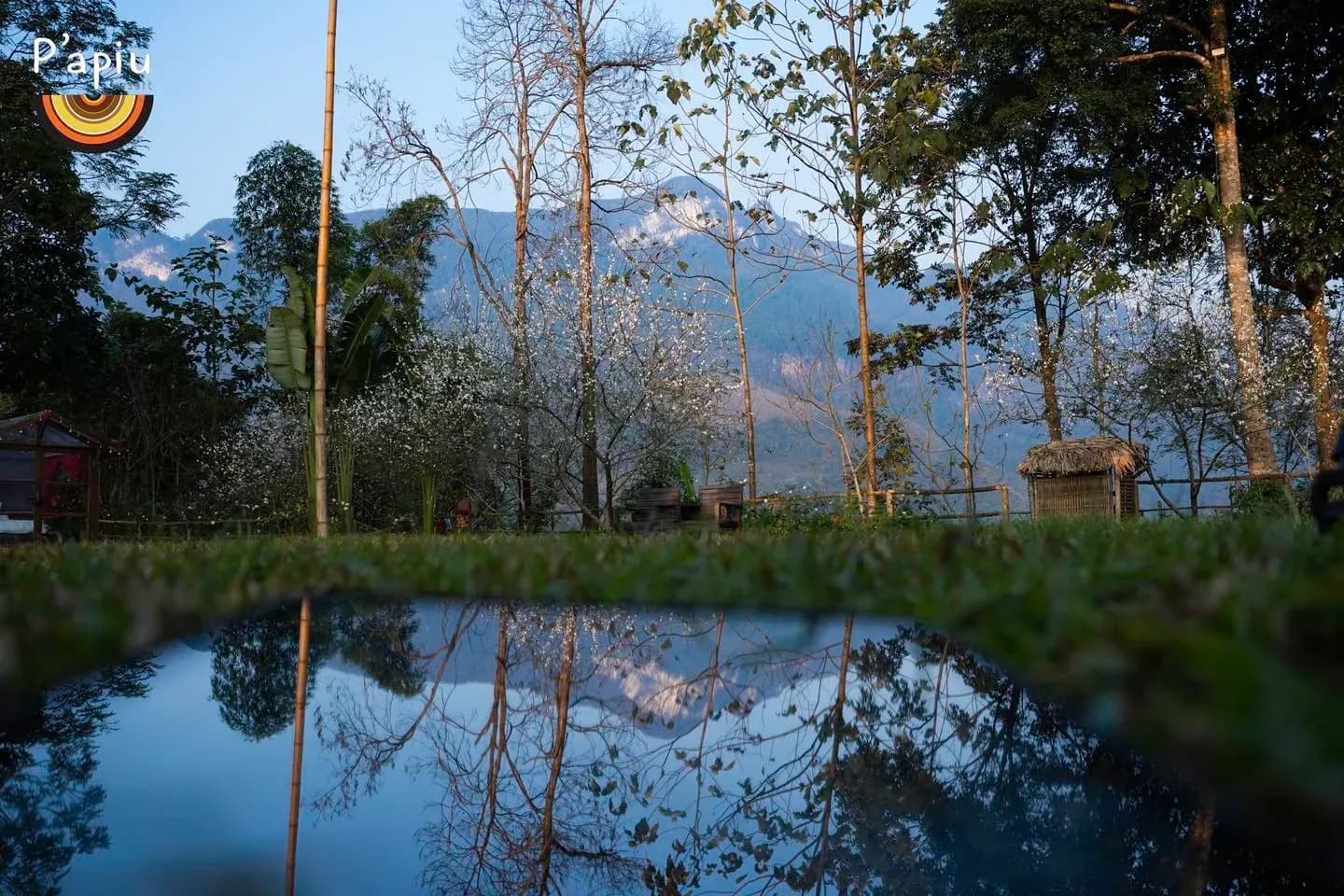P'apiu Resort Proposal On The Mountain Top