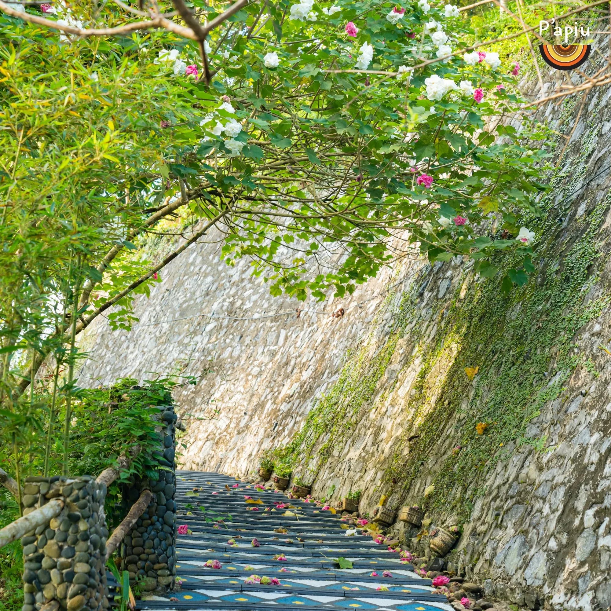 P'apiu Resort Hoa Phu Dung