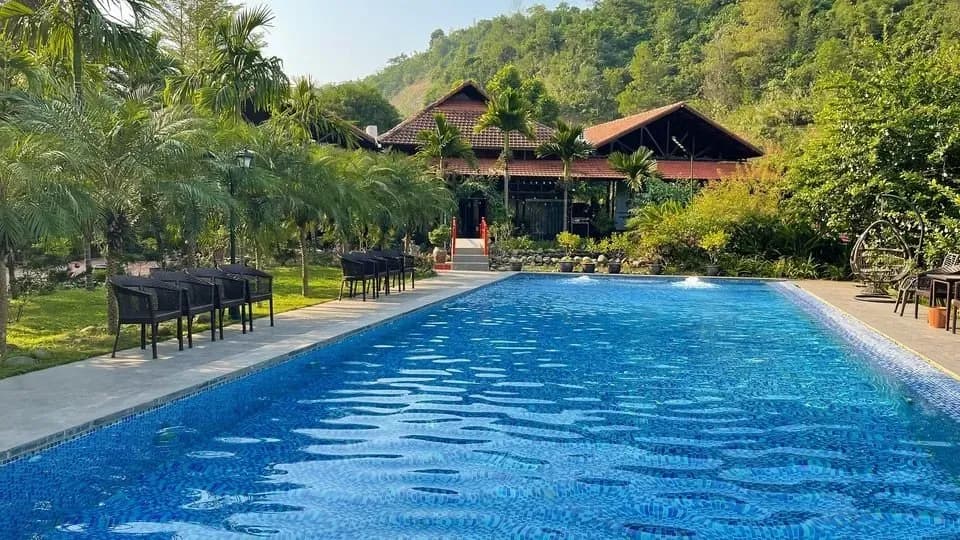 Pool nestled in greenery, offering a relaxing escape.