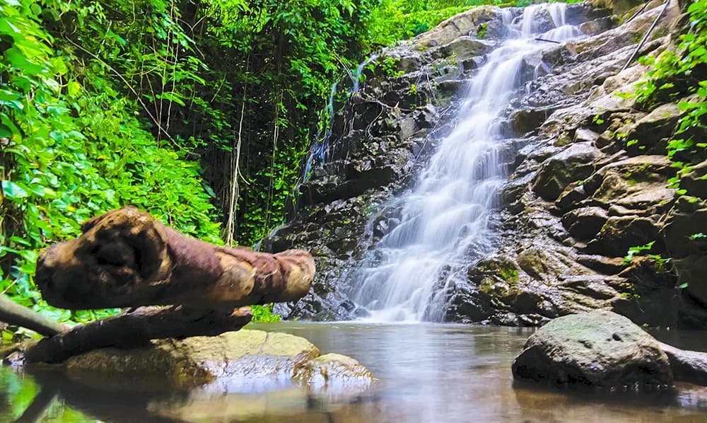 Thanh Long Stream cascading through lush forest.