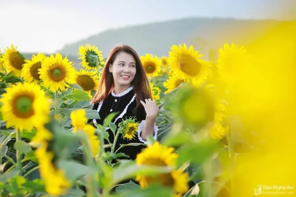 Visitor joyfully amidst the golden sunflower field.