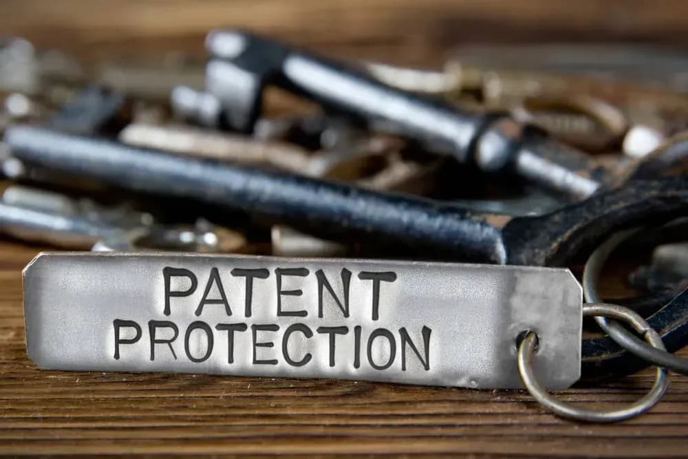 Procedures for requesting cancellation of protection certificate and termination of patent validity