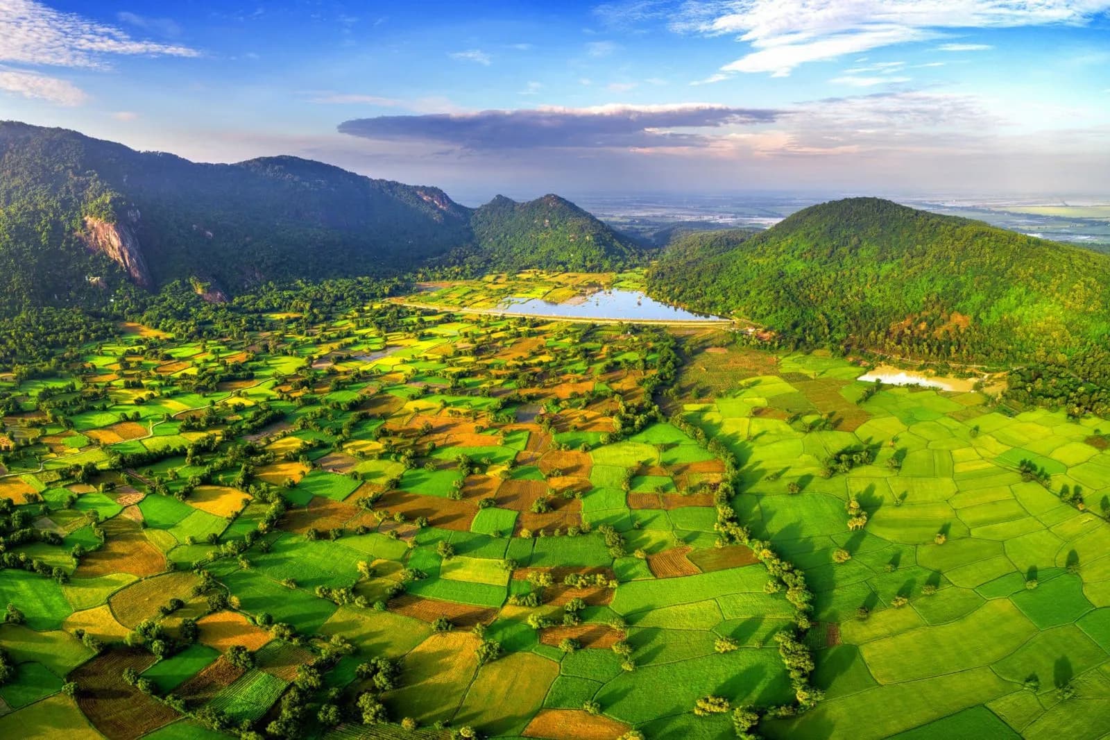 canh-dong-ta-pa-an-giang-voi-ve-dep-xanh-muot-gay-thuong-nho_2.jpg