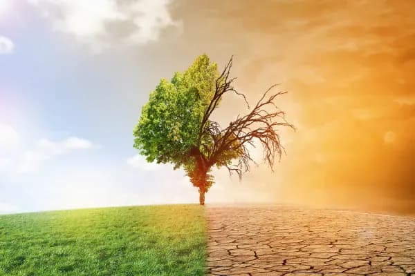 Consequences of climate change on human life