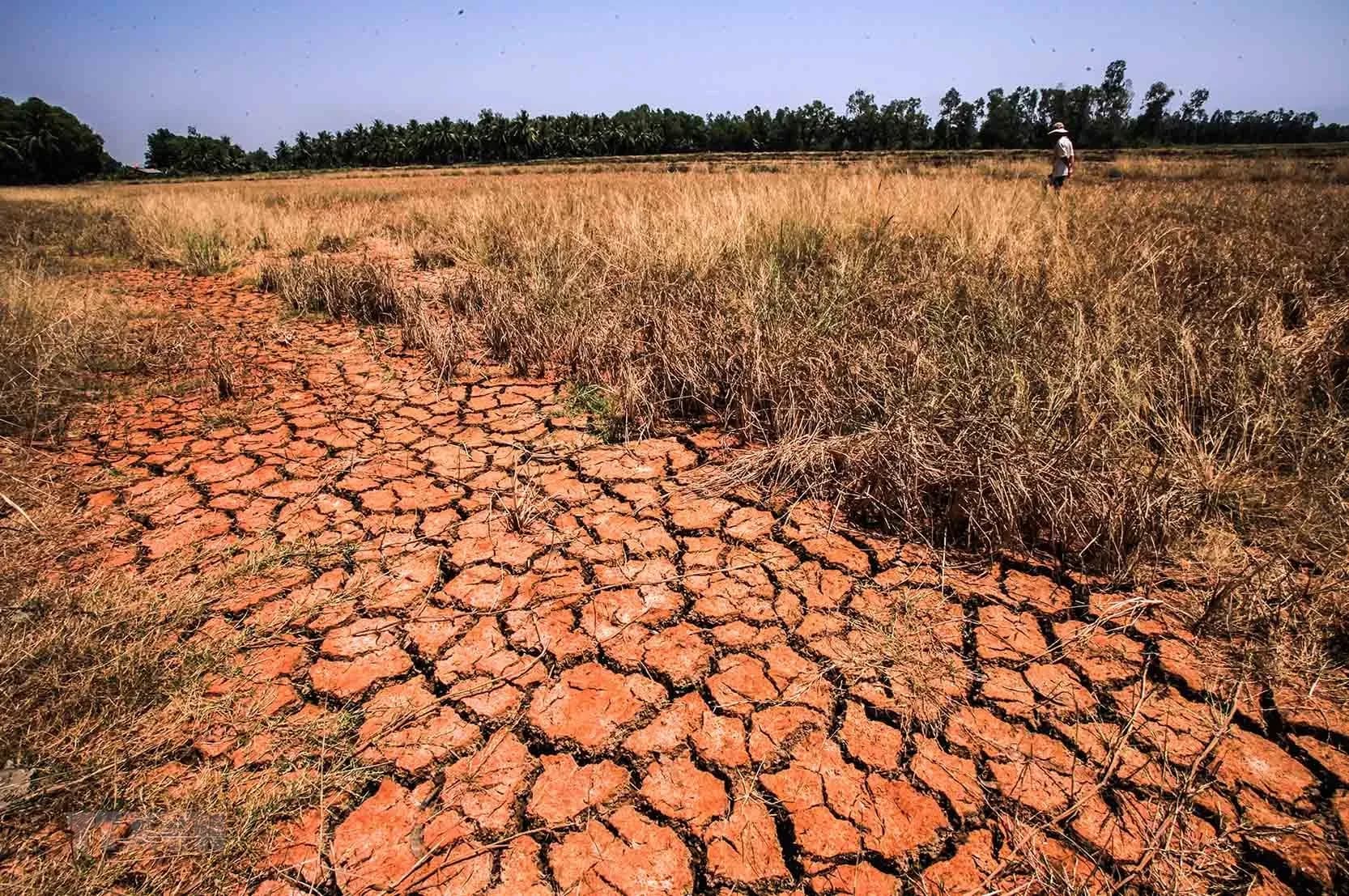 Climate change situation in Vietnam