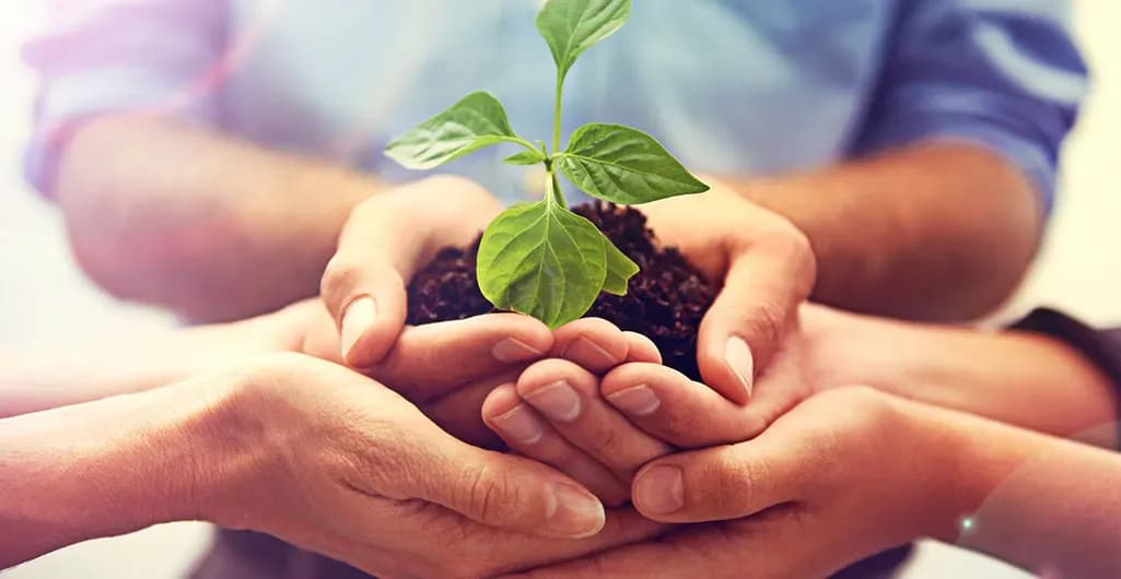 Effective environmental control measures