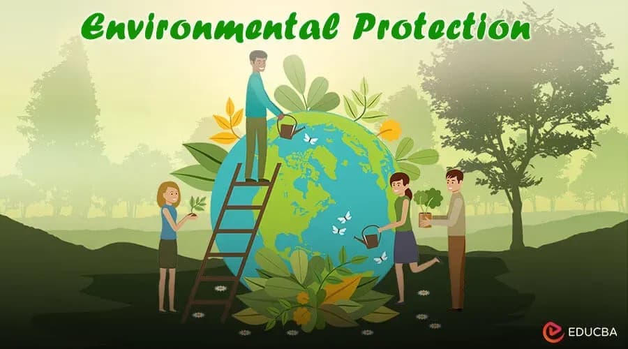 Preferential policies and support for environmental protection of the State