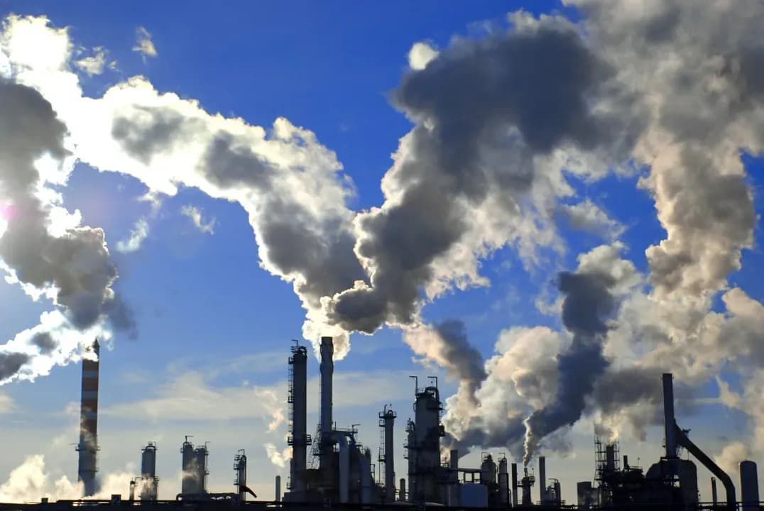 Violating regulations on environmental protection in public places, urban areas, residential areas; transporting raw materials, materials, and goods that cause environmental pollution.