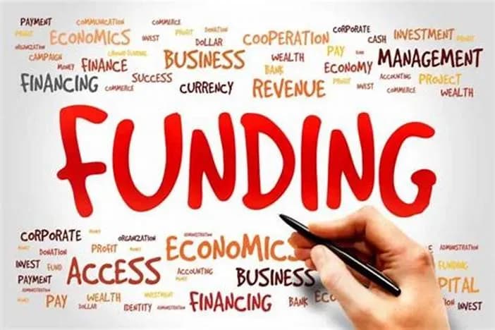 Forms of capital mobilization for single-member limited liability companies