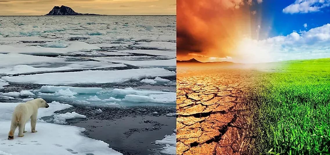 What is global climate change and the impacts of global climate change?