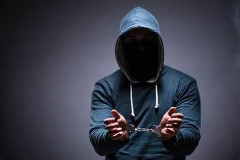 On the regulations guiding the handling of foreign criminals