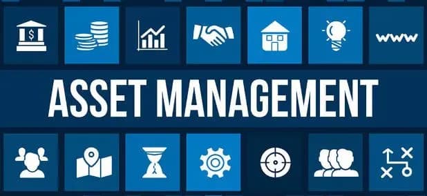 The Importance of Asset Management in Business 1