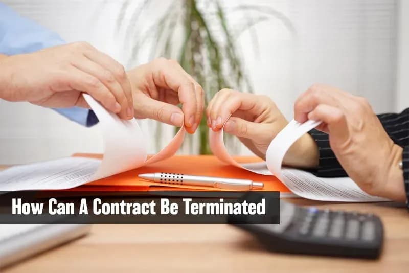 Regulations on the term and cases of termination of housing lease contracts according to the latest Housing Law