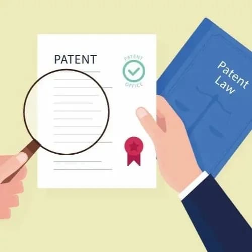 Regulations on maintaining the validity of protection certificates (PCP) in Vietnam