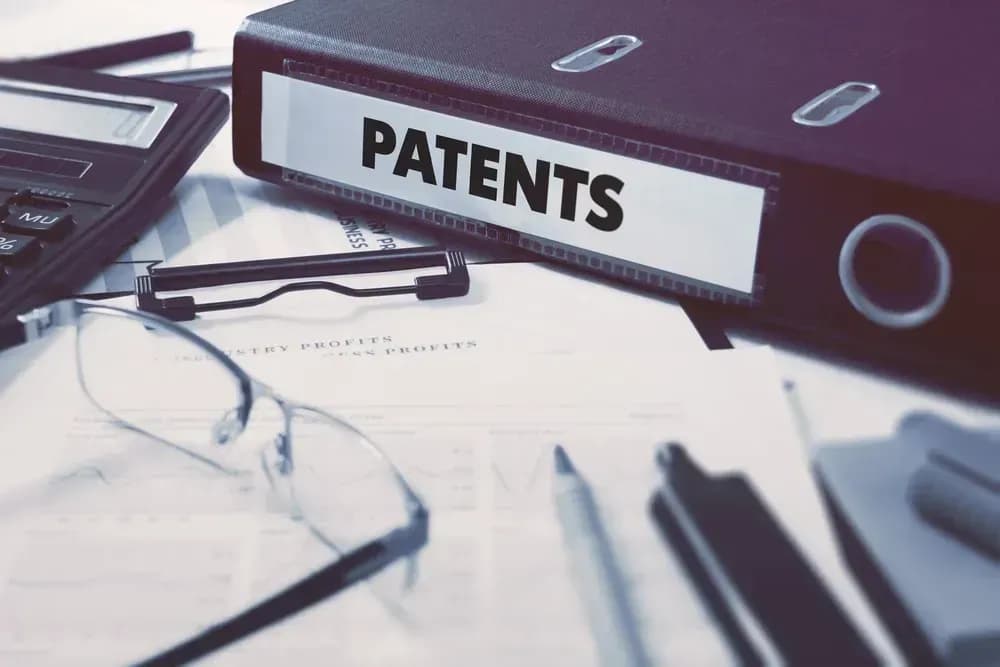 Regulations on maintaining the validity of patent protection certificates