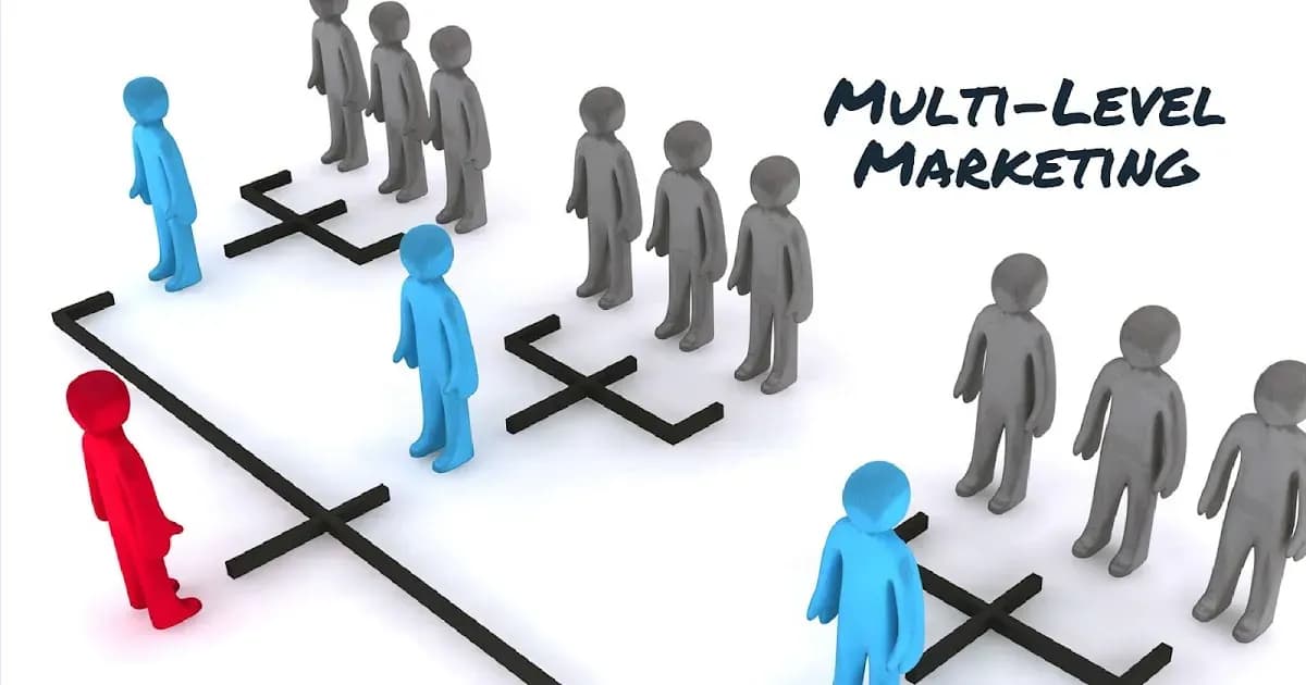 Contract to participate in multi-level sales, responsibilities of multi-level sales organizations and individuals?