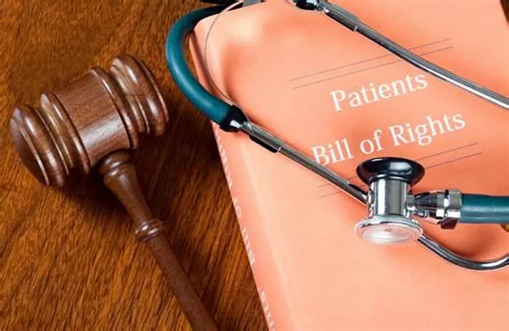 Patient rights under the Law on Medical Examination and Treatment 2023