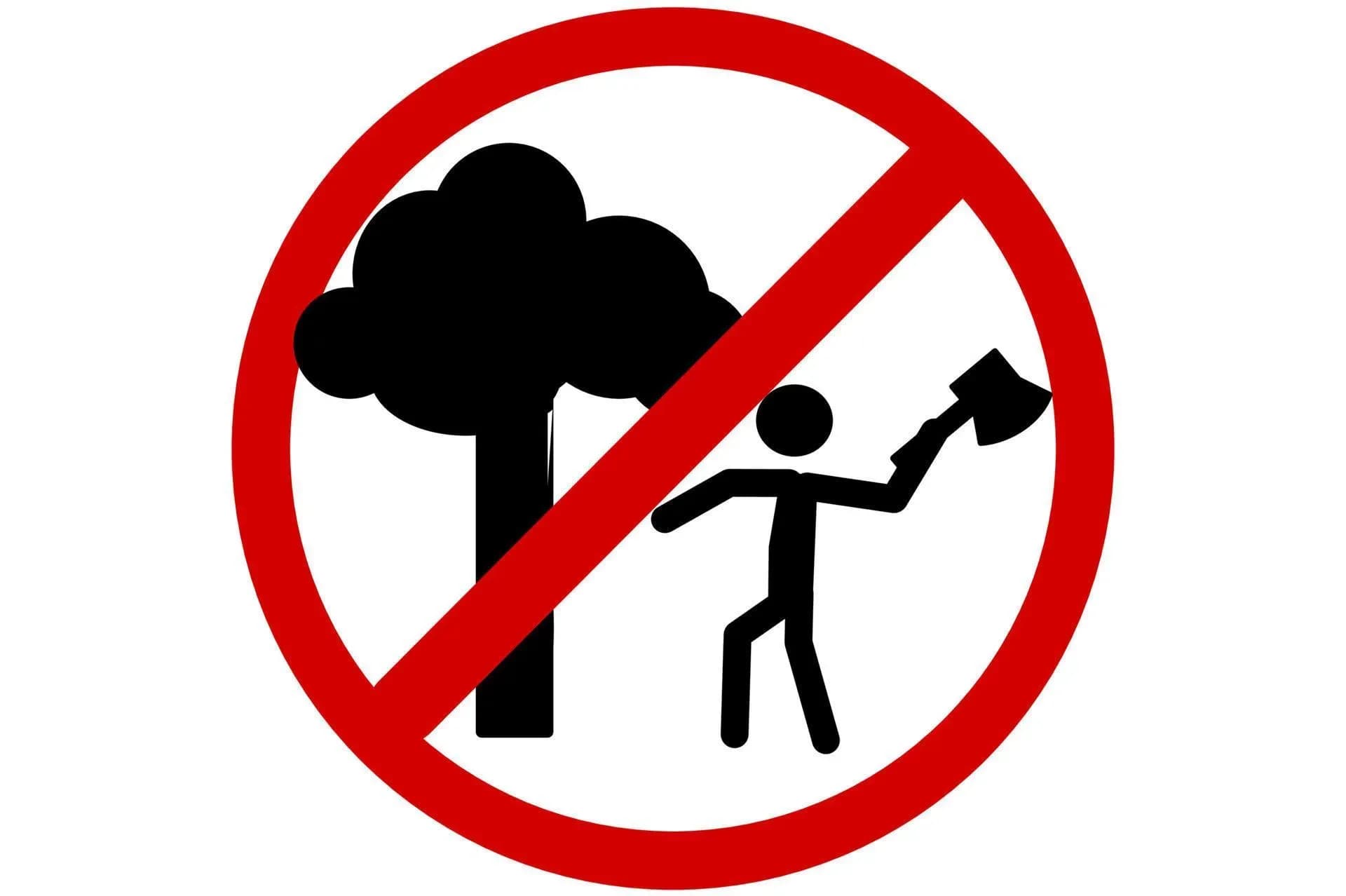 Prohibited acts in environmental protection activities in Vietnam