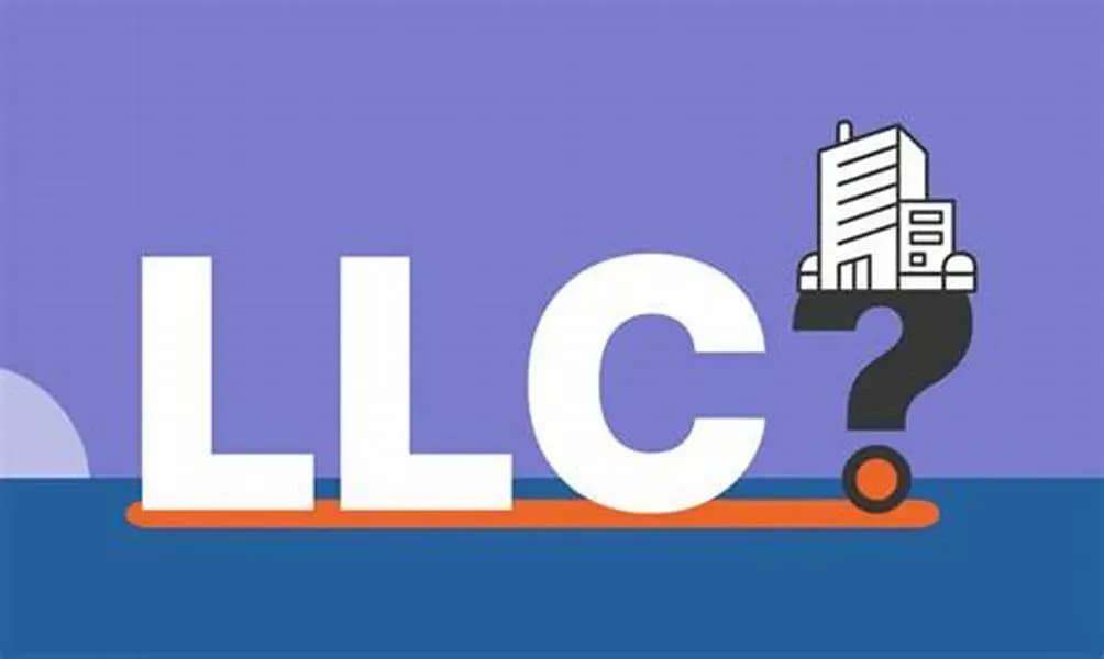 Advantages and disadvantages of a single-member limited liability company