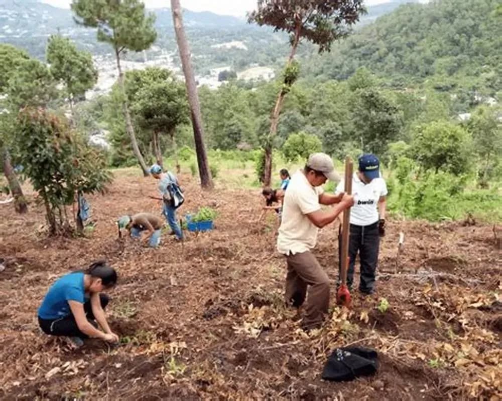What is the responsibility of the Ministry of Natural Resources and Environment in adapting to climate change?