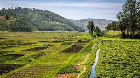 Sustainable development in the use of land resources