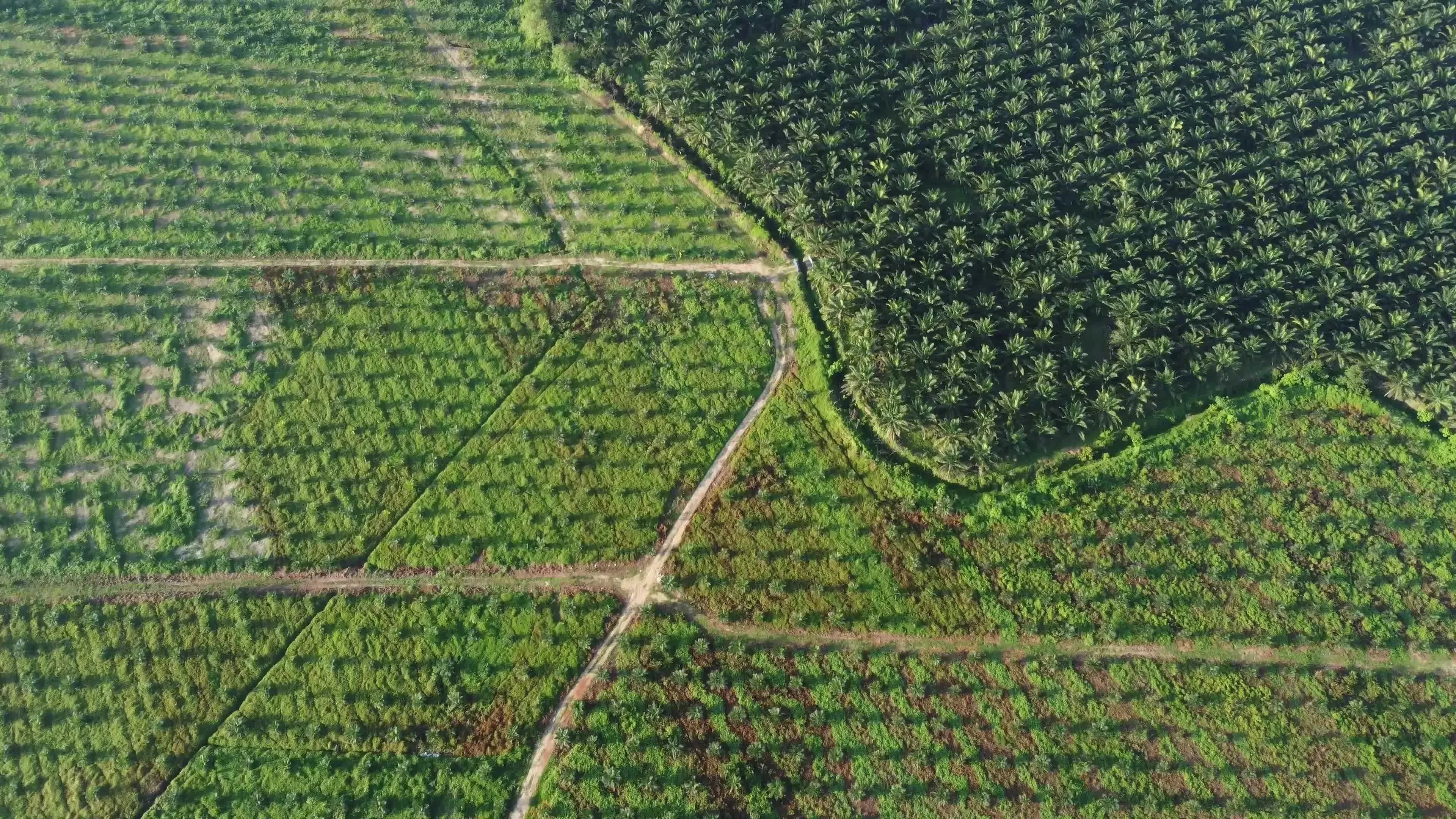 Solutions for sustainable land use management in climate change conditions in Vietnam