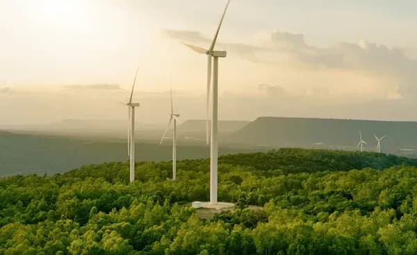Solutions for conservation and sustainable use of natural capital in Vietnam