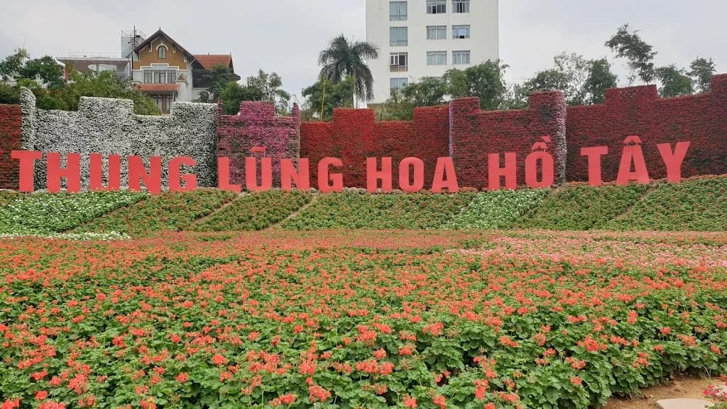 Thung lung hoa ho Tay