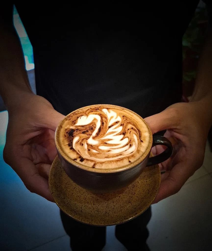 Tonkin Specialty Coffee
