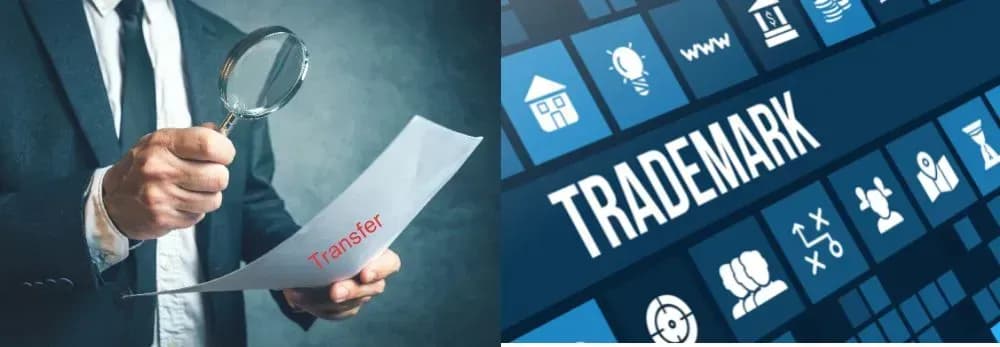 Procedures for transferring trademark registration applications