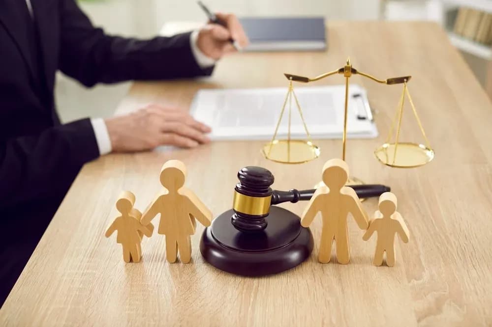Vietnamese law on child custody 2