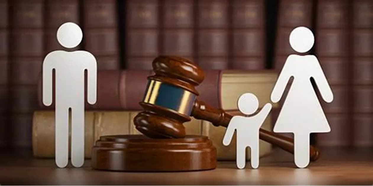 Vietnamese law on child custody 1