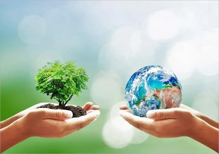  Environmental protection policy of the Vietnamese State