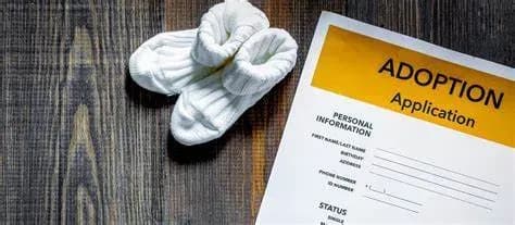 Vietnam's regulations on adoption procedures involving foreign elements 1