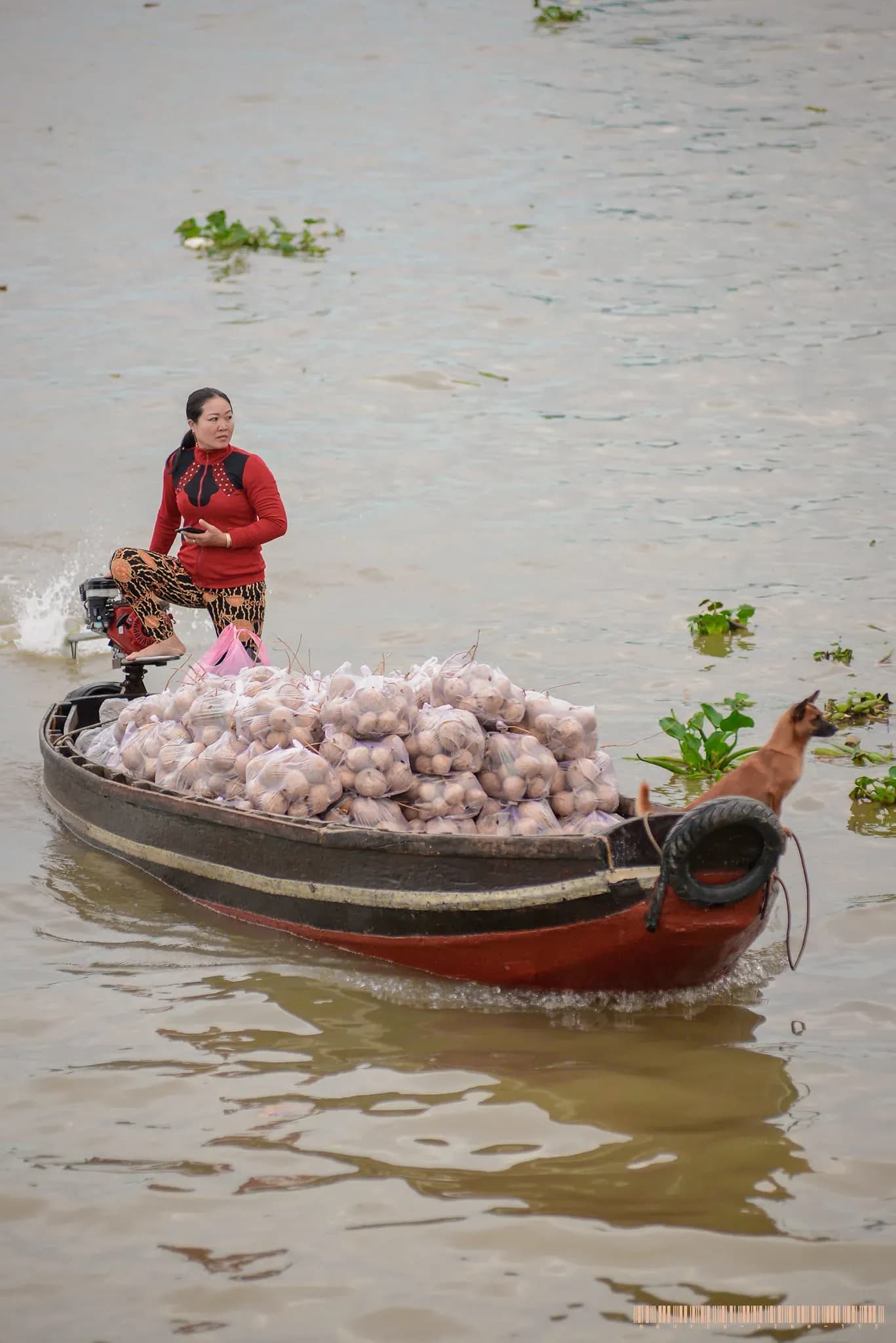 Early morning at Cai Rang Floating Market, bustling with tourists and vibrant scenes of trade, featuring an array of fresh fruits, bread, and livestock on boats 8