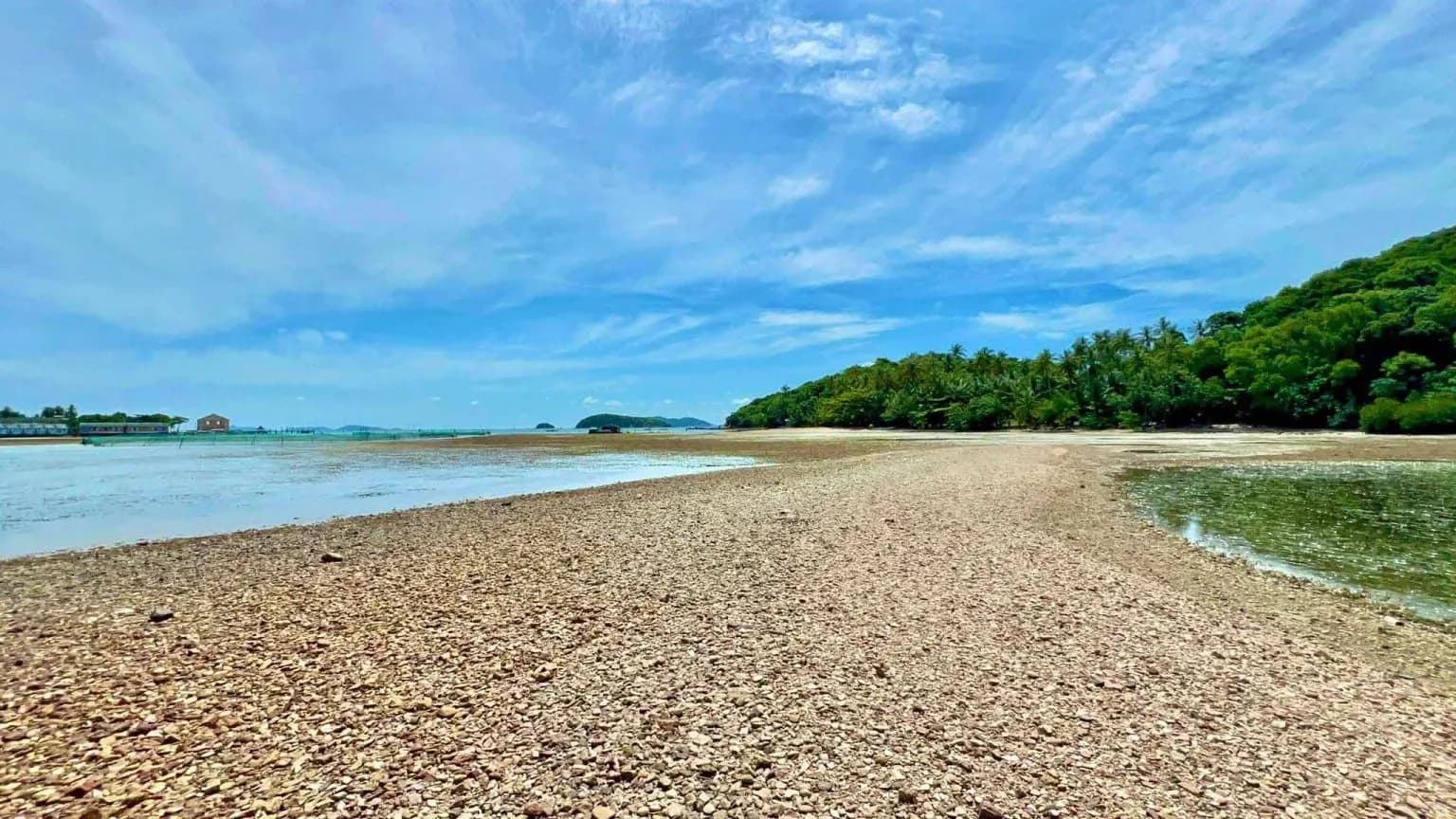 Hon Dam Duoc, the place where thousands of mangrove trees grow and develop, 300m from Hon Duong.