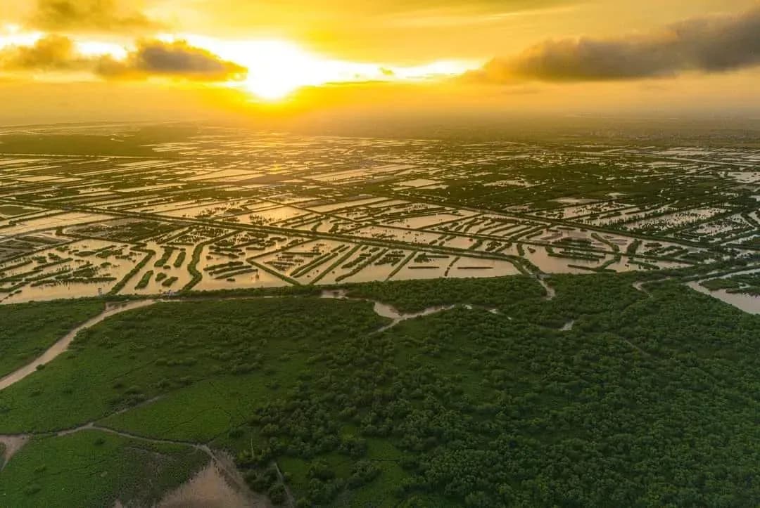 Xuan Thuy National Park Aerial Photo