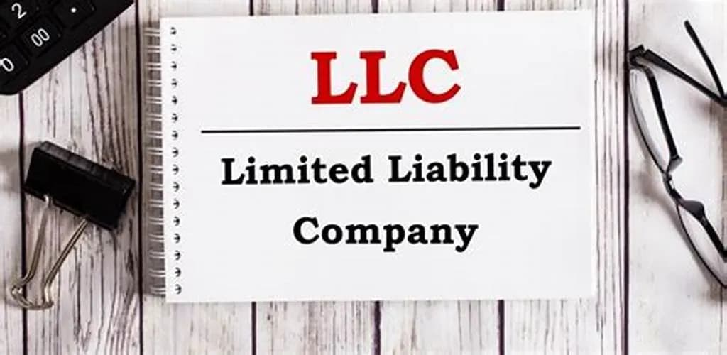 Changing and adding business lines in a single-member limited liability company