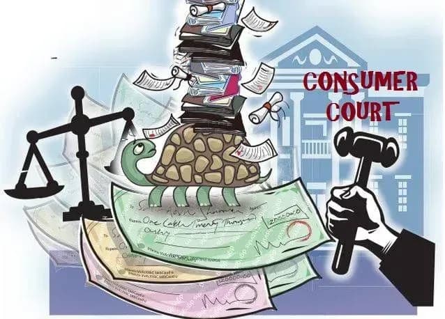 What does the law on consumer rights protection stipulate about civil cases on consumer rights protection?