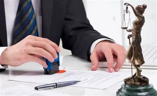 Visa issuance at competent Vietnamese visa-issuing agencies abroad 2