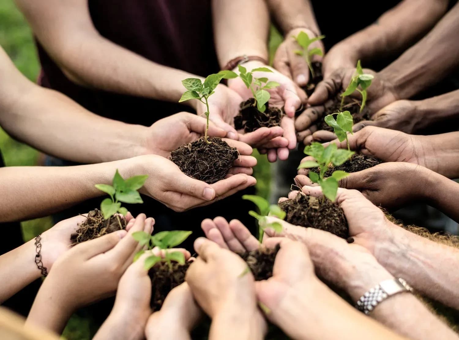 List of environmental protection activities that are eligible for incentives and support in Vietnam