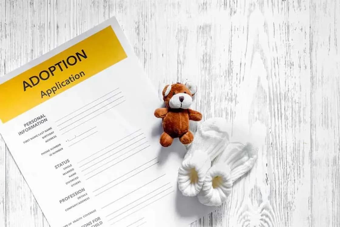 How are the components of the adoption dossier regulated in Vietnam? 1