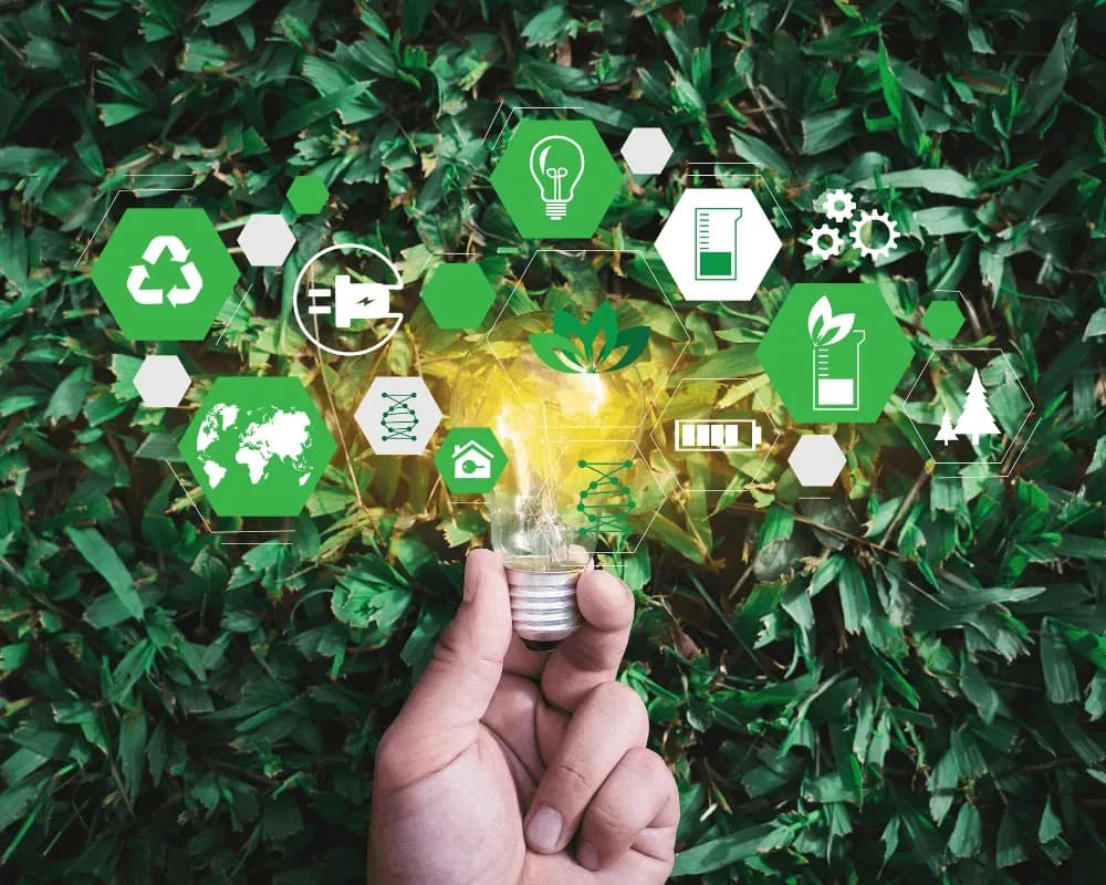 Manage and use resources reasonably and sustainably