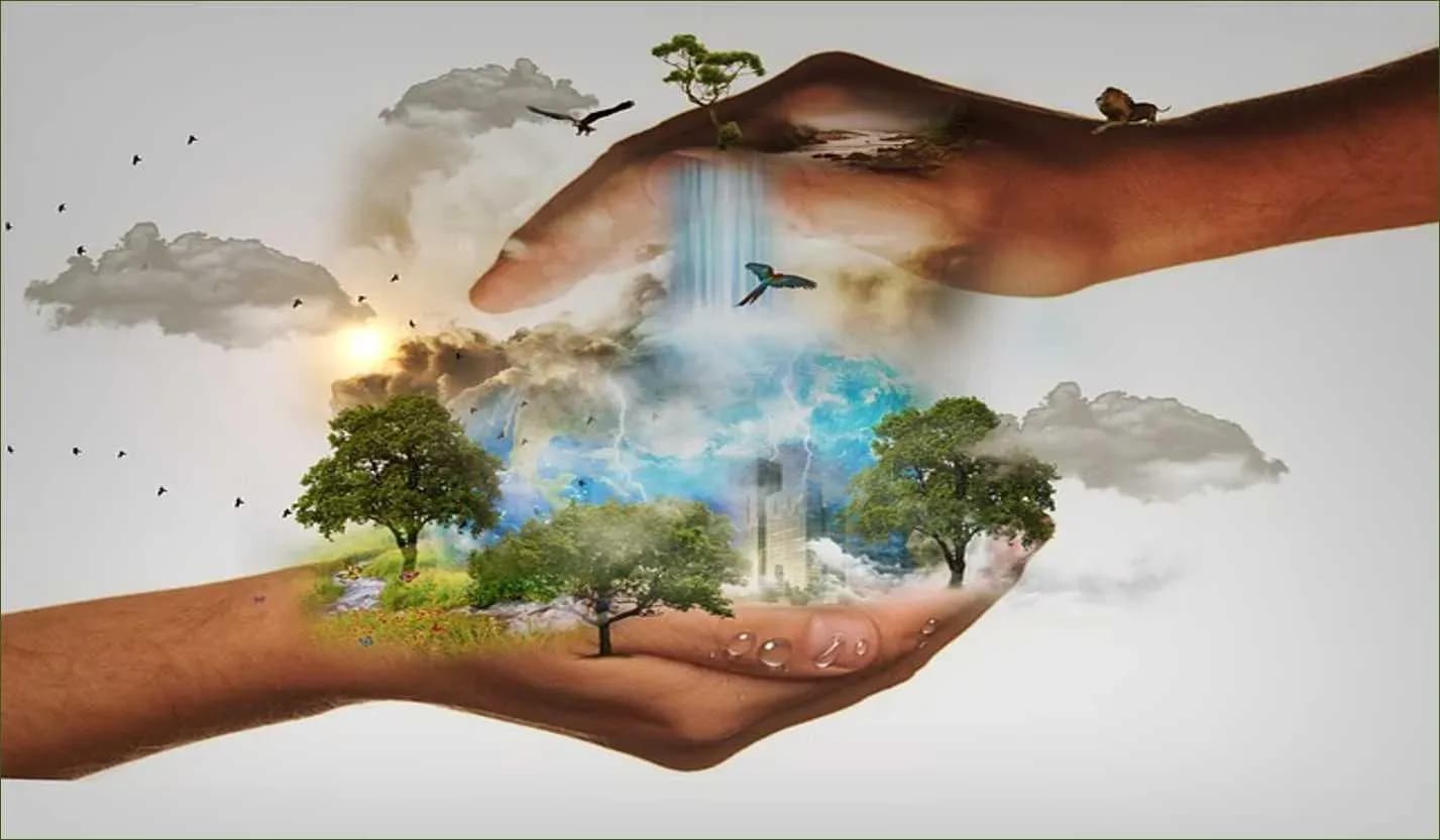 Learn about natural resources